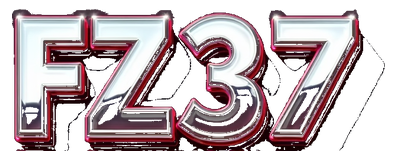 fz 337 logo